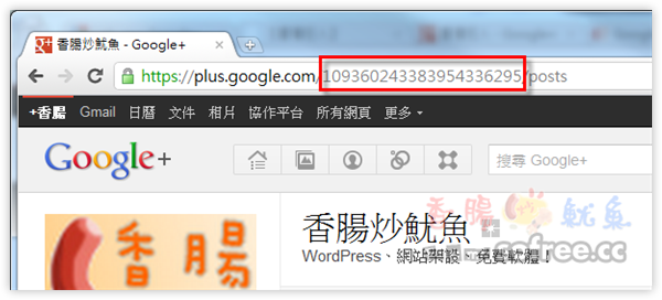 Google+ Badges 在網站上放個Google+粉絲框